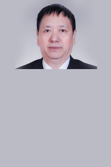 丁显平